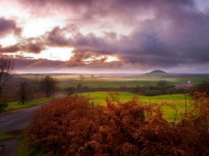 Cottages to rent in Staithes
