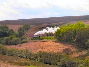 Cottages in Yorkshire Staithes